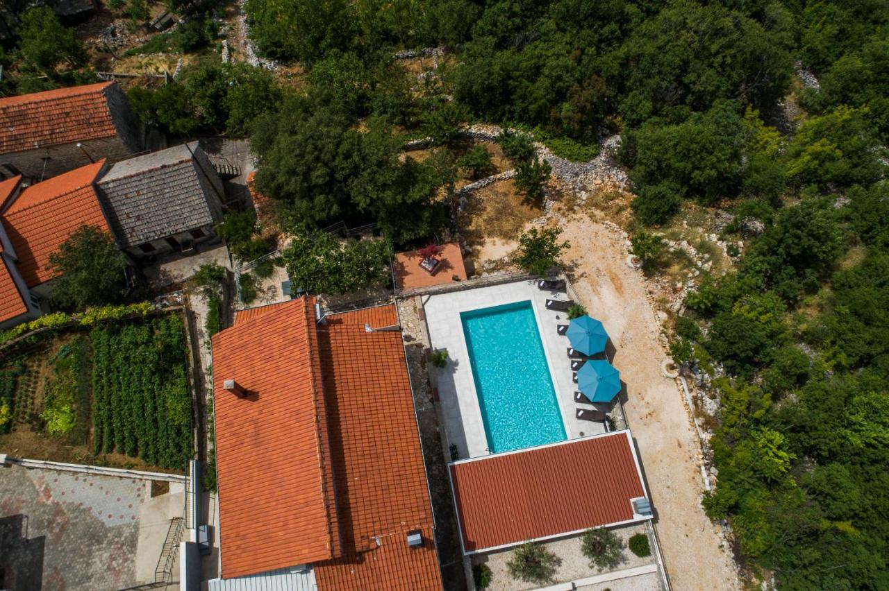 Villa Vinko *